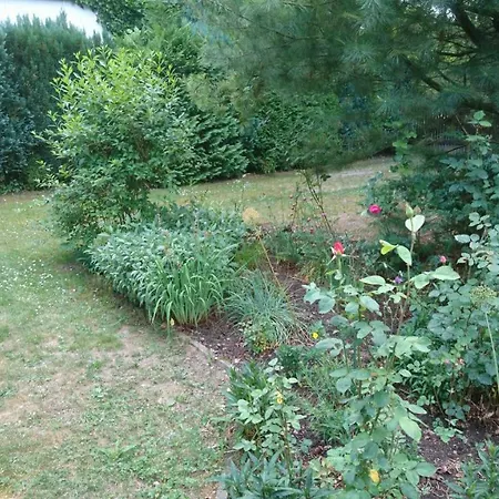 Bungalow Am Wipperberg 313 Holiday home Harzgerode